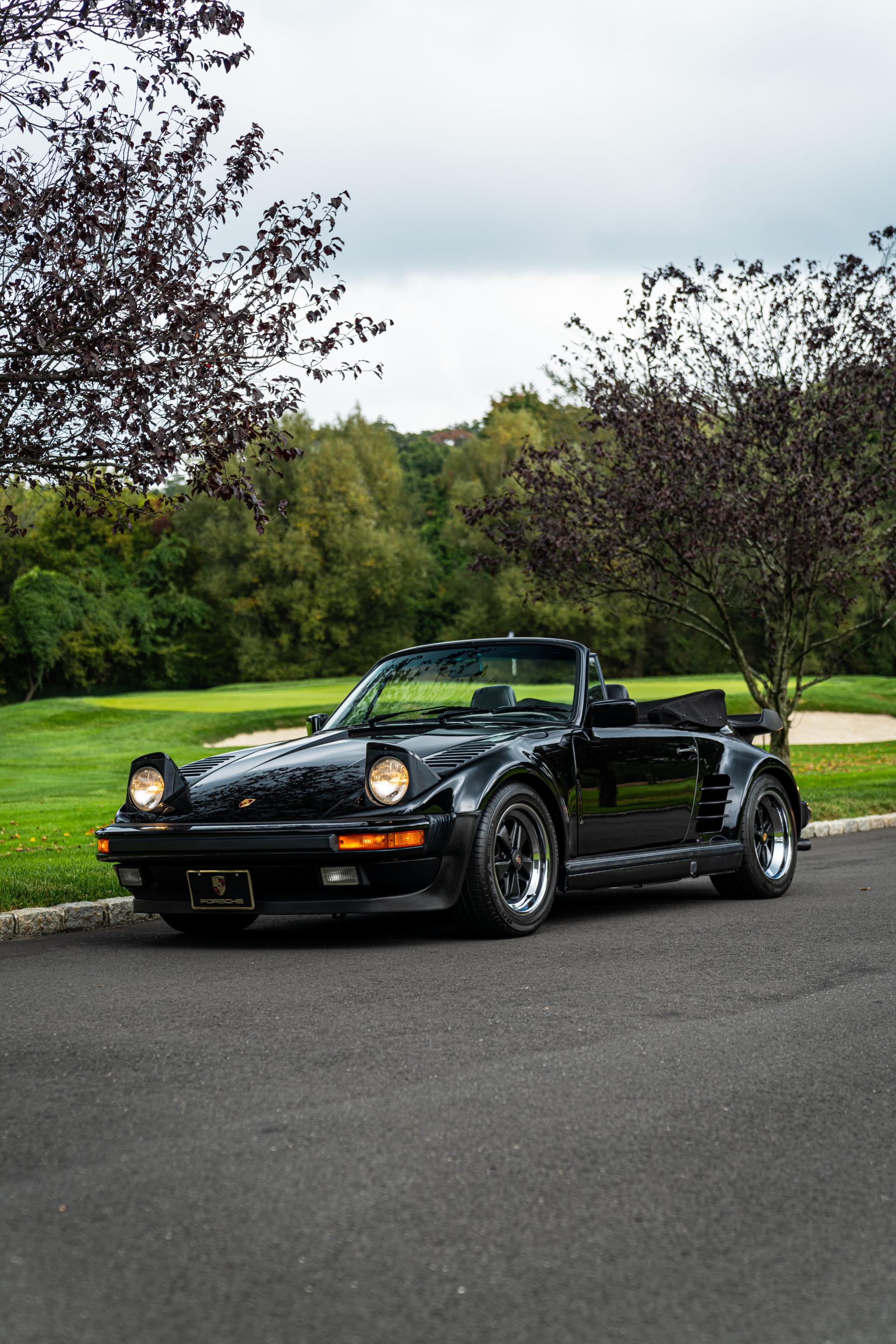 Used 1988 Porsche 911 Carrera Turbo M505 | St. Petersburg, FL