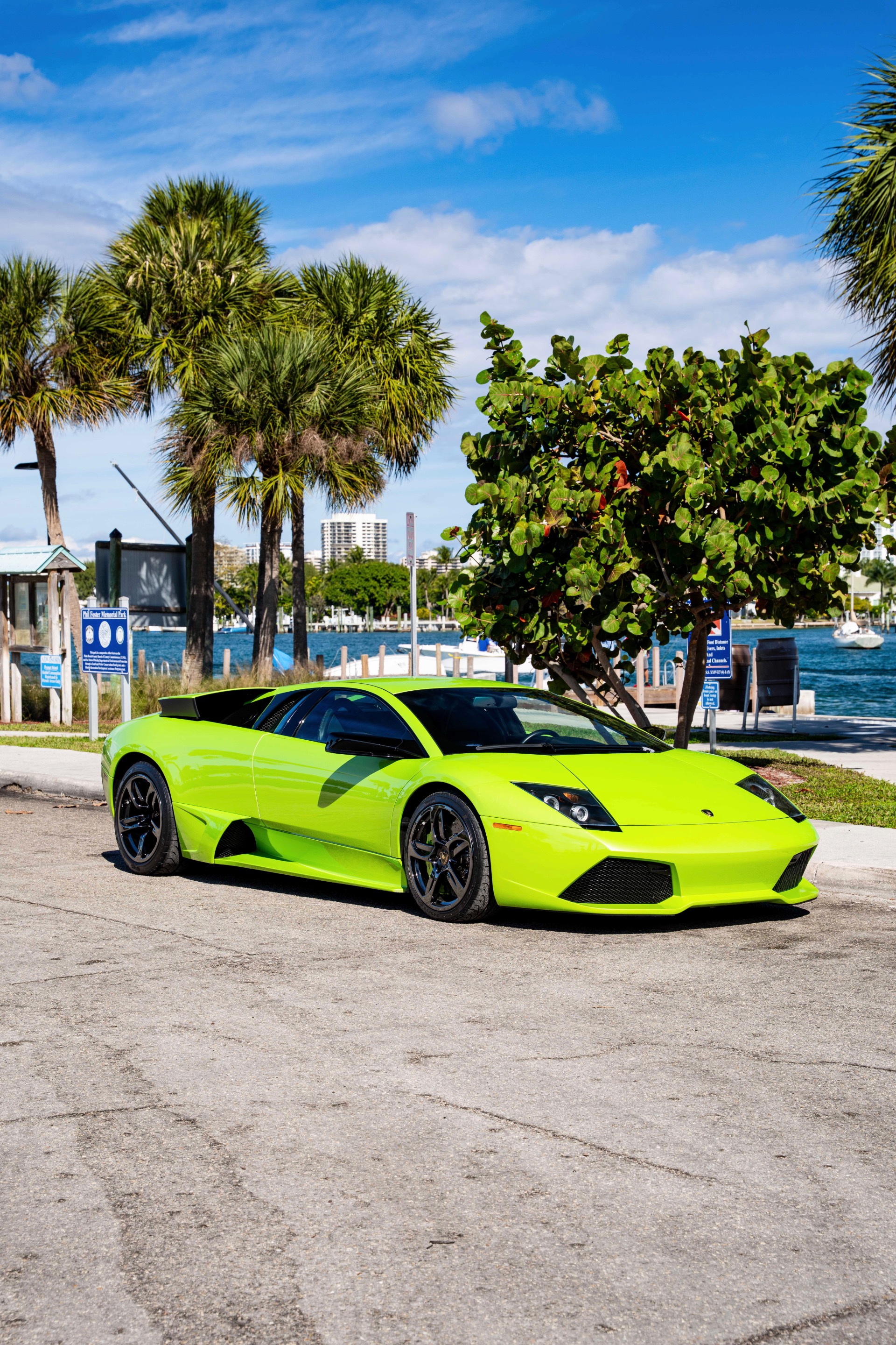 【メルシウ様】専用・青/緑、各360g≪リクエスト特割特価≫ Used 2008 Lamborghini Murcielago LP 640 For Sale (Sold) | Ryan