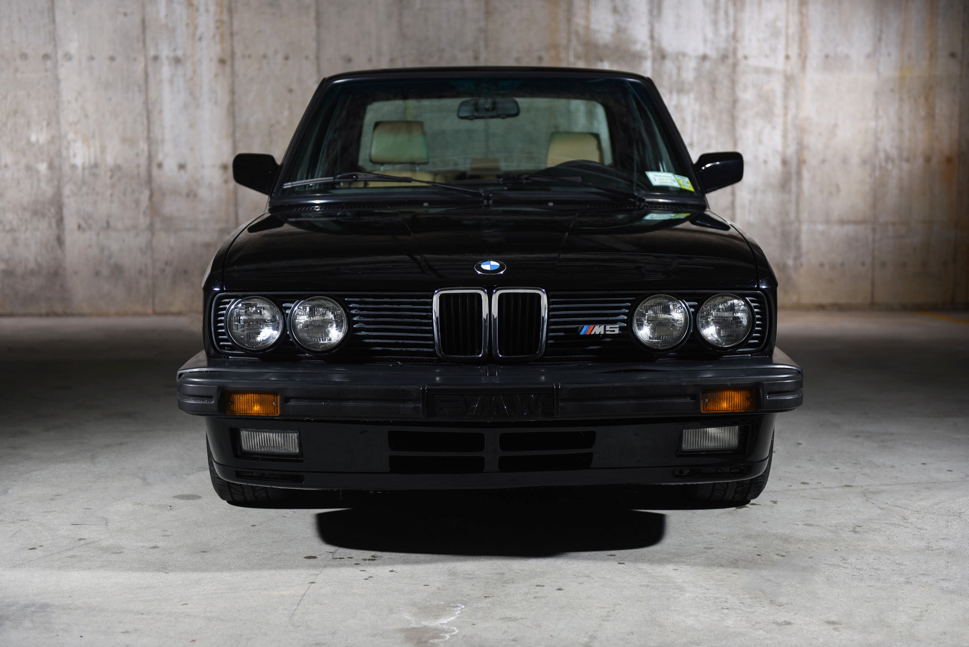 Used 19 Bmw M5 For Sale Sold Ryan Friedman Motor Cars Llc Stock 342